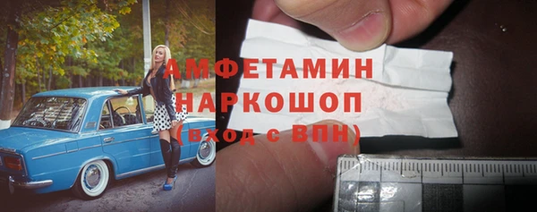 стаф Балахна