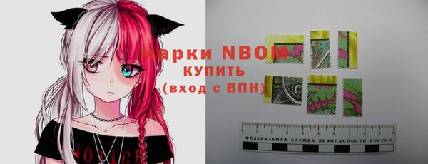 стаф Балахна