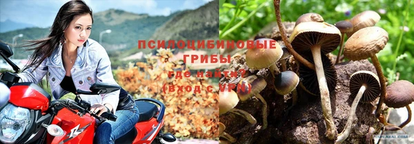 стаф Балахна