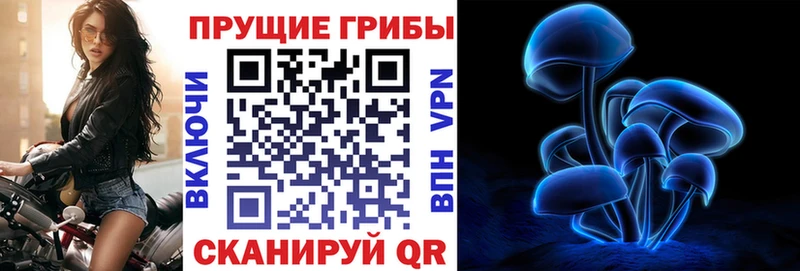 Галлюциногенные грибы Magic Shrooms Кущёвская